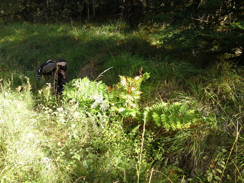 Mares au vinaigre 35